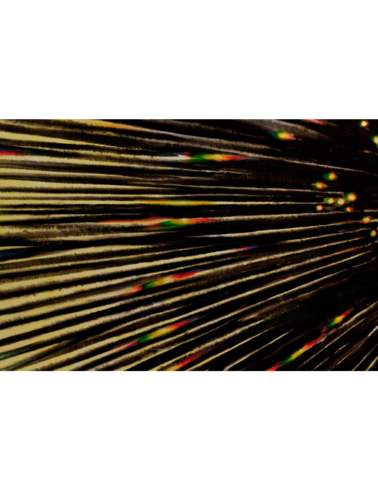 Импульс от Артёма Волокитина