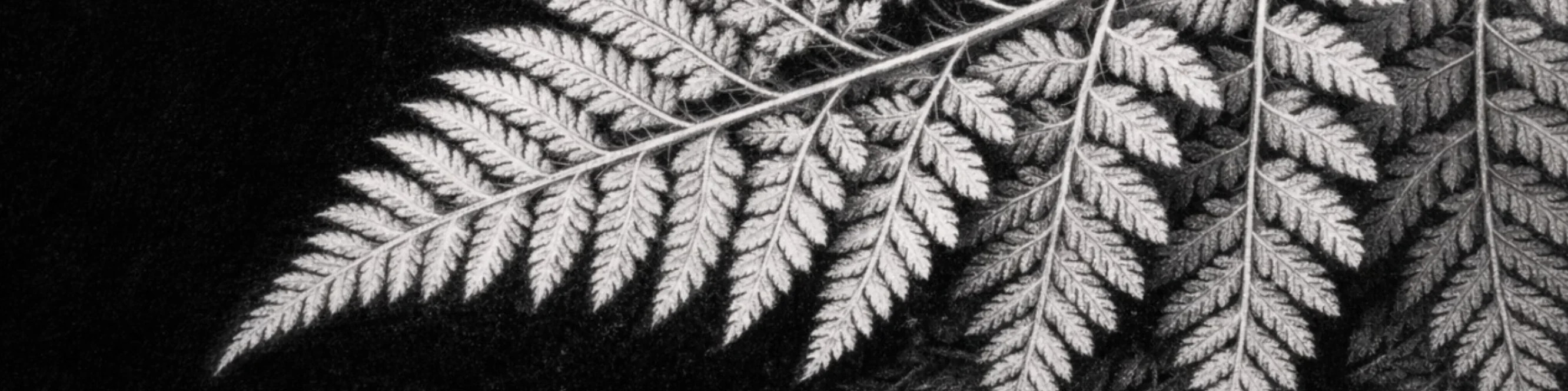 Малюнки з негативним простором від MIRONOVA ART — мистецтво мінімалізму