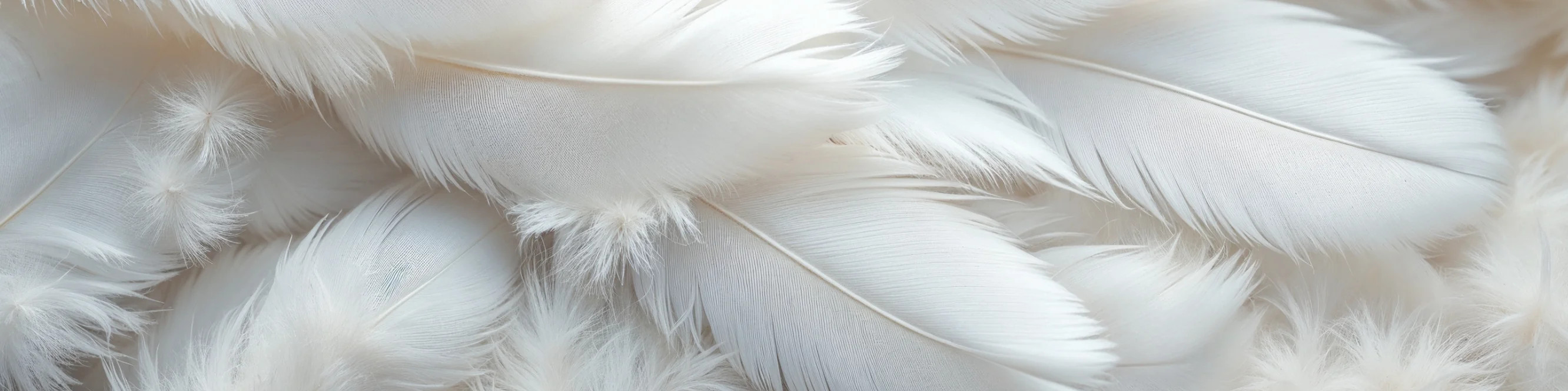 Fluff, feathers for bedding from MIRONOVA ART – softness and warmth.