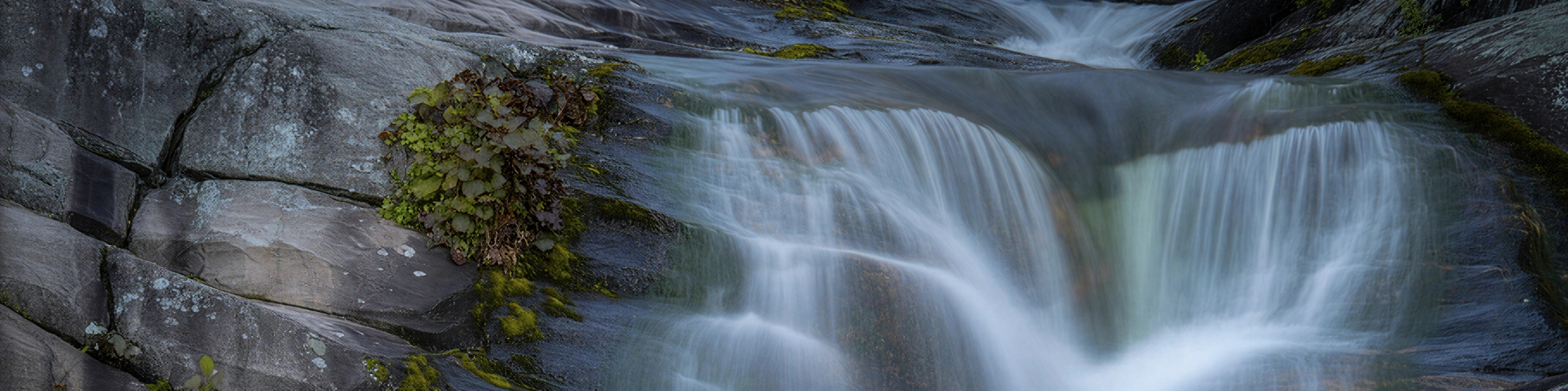 Довга експозиція MIRONOVA ART — мистецтво руху та часу