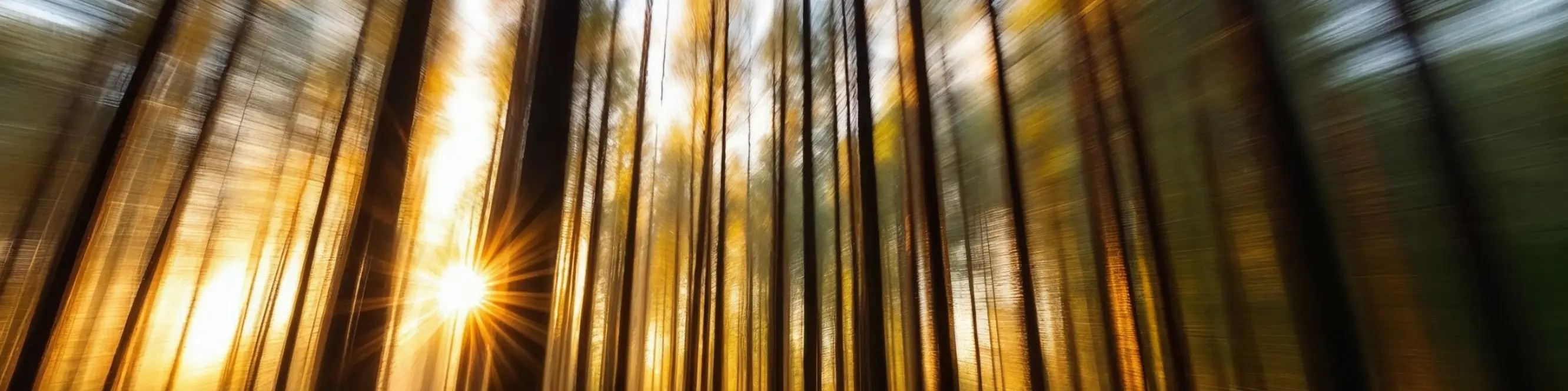 Навмисне переміщення камери MIRONOVA ART — креативні фотографії